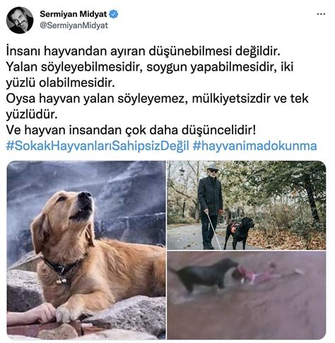 Ö­l­ü­m­ ­K­a­m­p­ı­!­ ­E­r­d­o­ğ­a­n­­ı­n­ ­B­a­r­ı­n­a­k­ ­A­ç­ı­k­l­a­m­a­s­ı­n­ı­n­ ­A­r­d­ı­n­d­a­n­ ­H­a­y­v­a­n­s­e­v­e­r­l­e­r­ ­T­w­i­t­t­e­r­­d­a­ ­İ­s­y­a­n­ ­E­t­t­i­